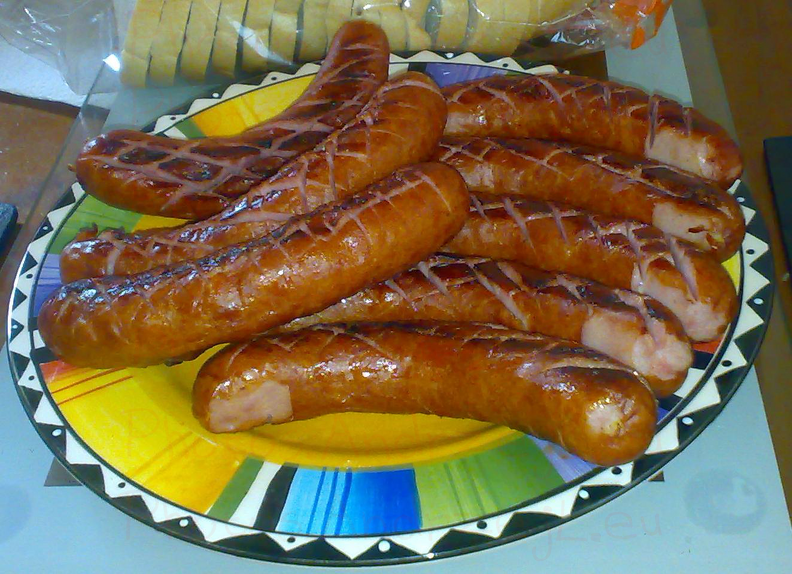 Grilled_Polish_Sausage_001.png