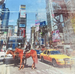 IMG 0999